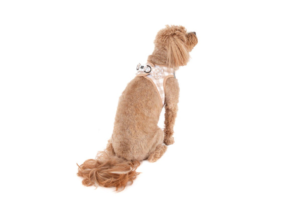 Big And Little Dogs-STEP-IN DOG HARNESS: Latte Gingham