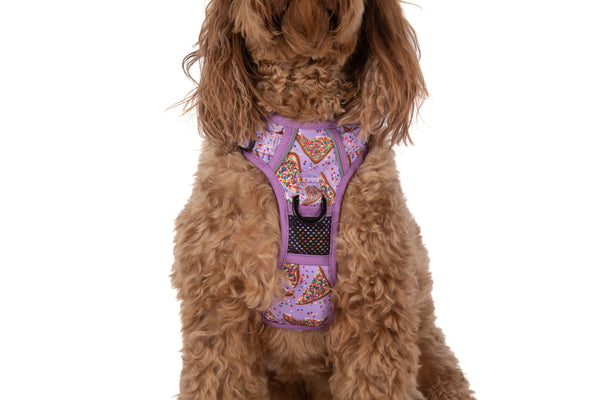 Big And Little Dogs-THE ALL-ROUNDER DOG HARNESS: Purple Fairy Bread