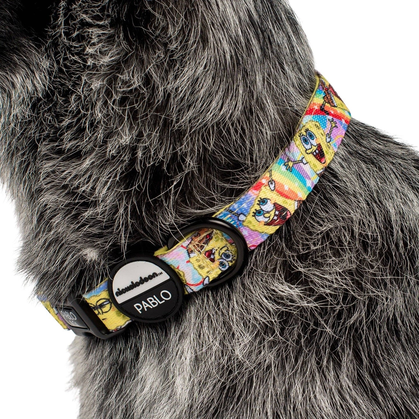 Pablo & Co- SpongeBob SquarePants: Dog Collar