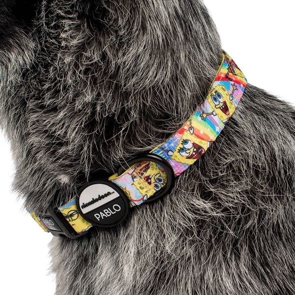 Pablo & Co- SpongeBob SquarePants: Dog Collar