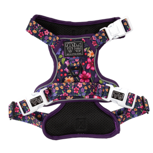 THE ALL-ROUNDER DOG HARNESS: Petal Paradise