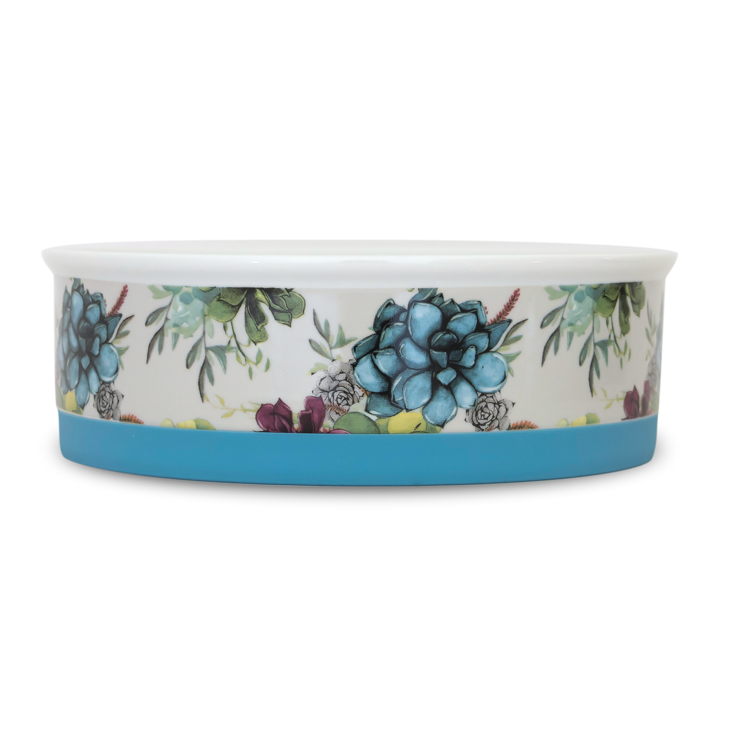 Indie Boho-Succulent Medley - Designer Dog Bowls