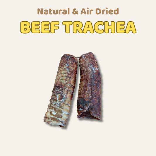 Two natural and air-dried beef tracheas on a beige background with text.