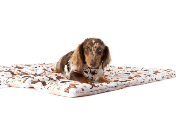 Big And Little Dogs-ON-THE-GO PET MAT: Dashie Lovers/Latte Gingham