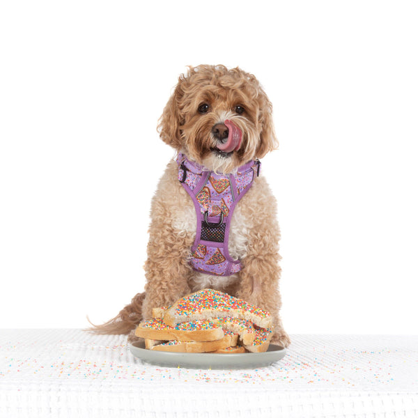 Big And Little Dogs-THE ALL-ROUNDER DOG HARNESS: Purple Fairy Bread