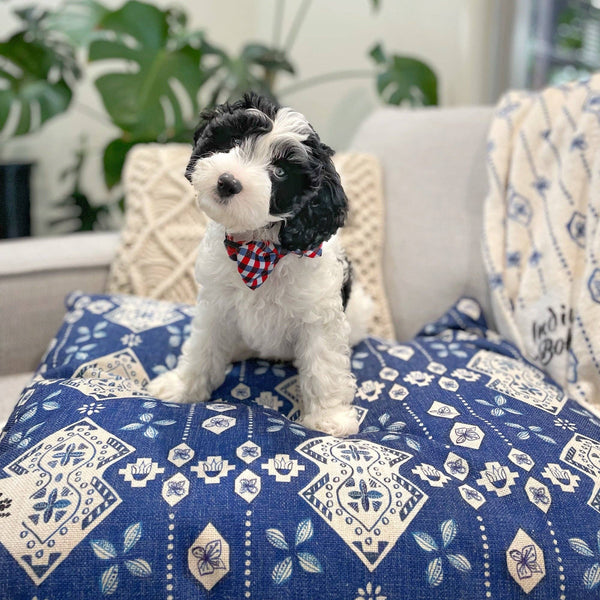 Indie Boho- Noosa Nights – MEDIUM Pet Bed-Instore ONLY