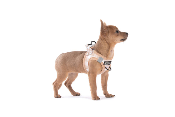 Big And Little Dogs-STEP-IN DOG HARNESS: Latte Gingham