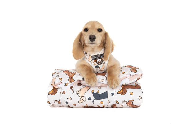 Big And Little Dogs-ON-THE-GO PET MAT: Dashie Lovers/Latte Gingham