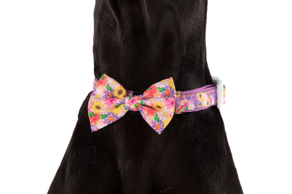 NEW Big And Little Dogs- DOG COLLAR + Bow Tie: Spring Fling