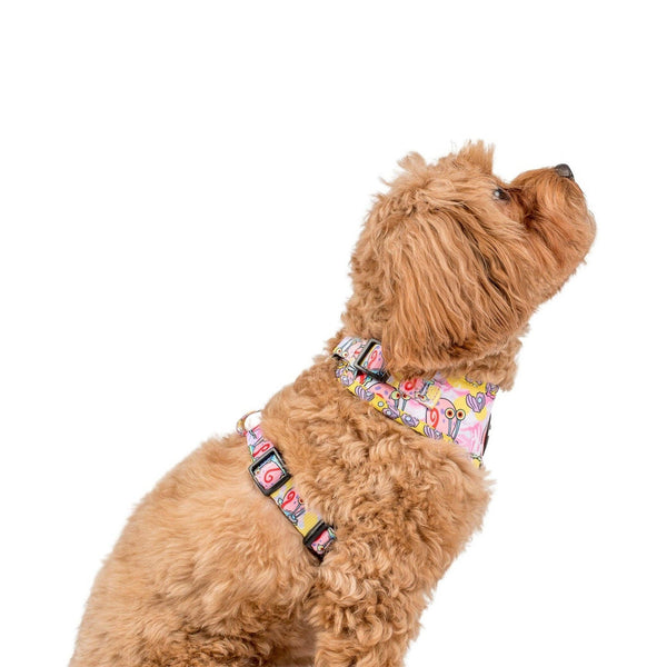 Pablo & Co- Nickelodeon Spongebob-Gary: Adjustable Harness