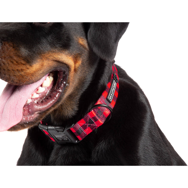 Big and Little Dogs- DOG COLLAR & BOW TIE: Plaid to the Bone