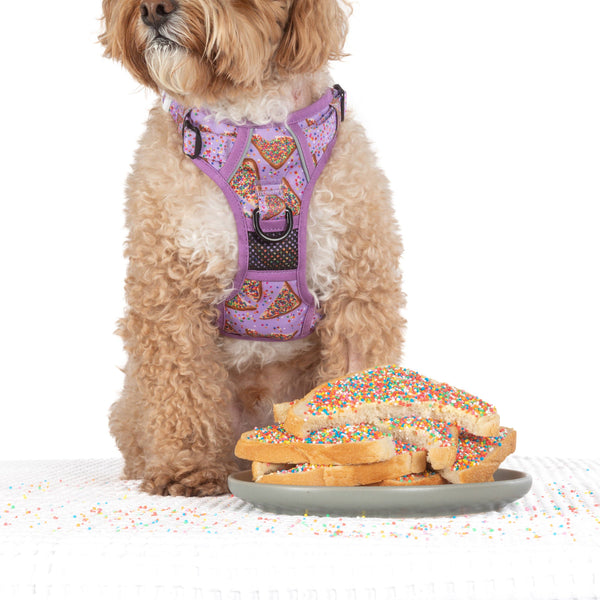 Big And Little Dogs-THE ALL-ROUNDER DOG HARNESS: Purple Fairy Bread