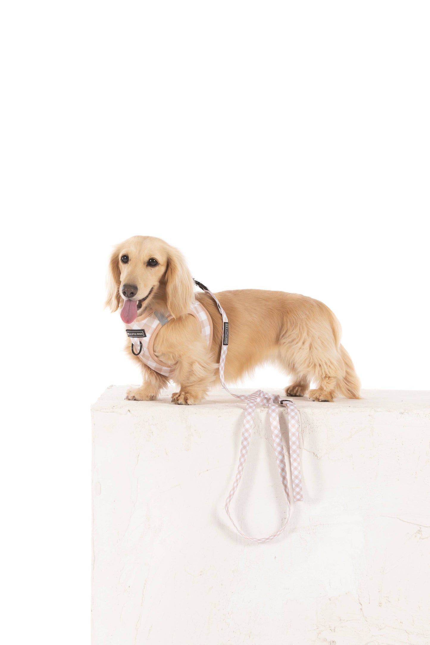 Big And Little Dogs-STEP-IN DOG HARNESS: Latte Gingham