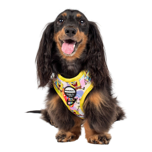 Pablo & Co- SpongeBob SquarePants: Adjustable Harness