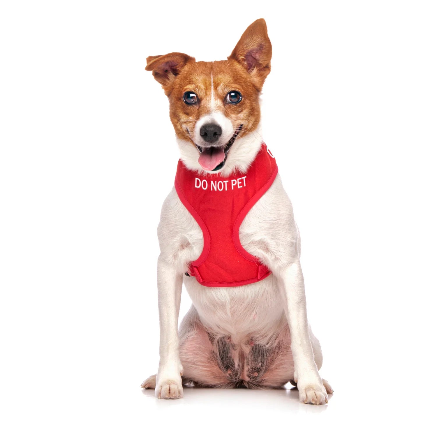 Do Not Pet dog harness. Vibrant red harness to let others know your dog should not be approached.
