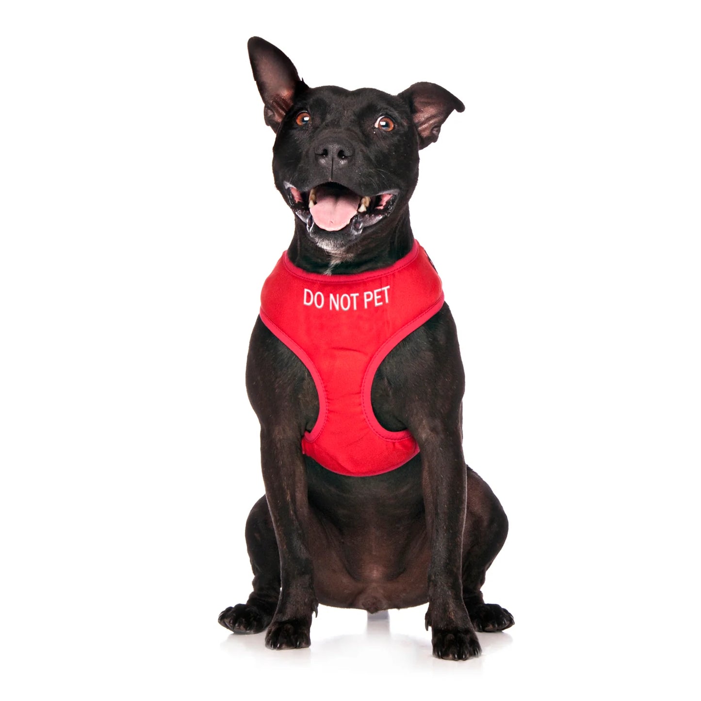 Do Not Pet dog harness. Vibrant red harness to let others know your dog should not be approached.