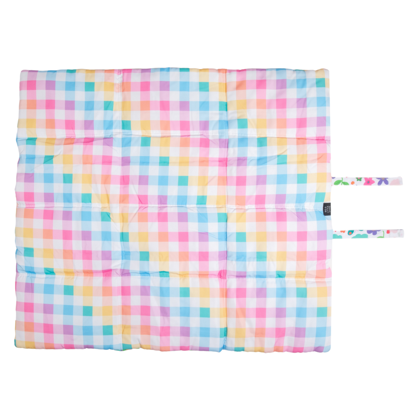 Big And Little Dogs-ON-THE-GO PET MAT: Follow The Rainbow/Rainbow Gingham