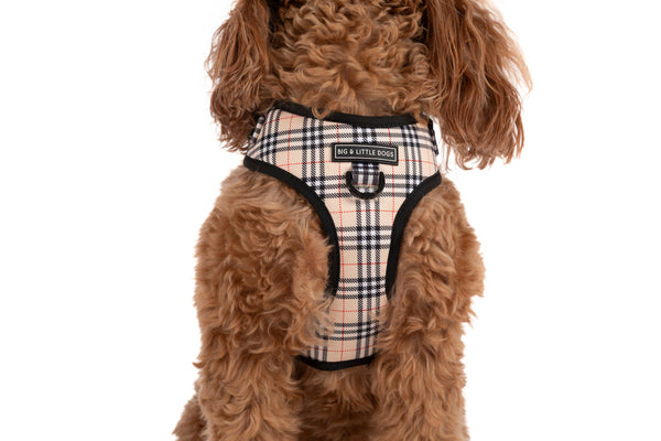 Big And Little Dogs-ADJUSTABLE DOG HARNESS: Nova Plaid