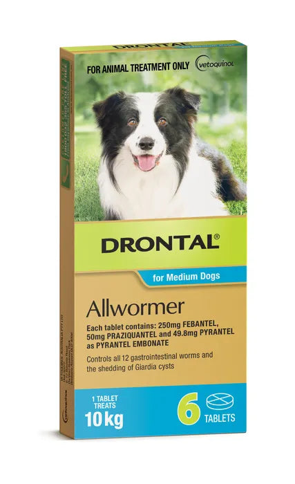 Drontal Allwormer Tablets For Medium Dogs- 6 Tablets