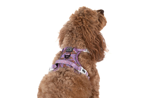 Big And Little Dogs-THE ALL-ROUNDER DOG HARNESS: Purple Fairy Bread