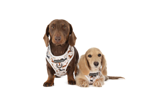 Big And little Dogs-ADJUSTABLE DOG HARNESS: Dashie Lovers
