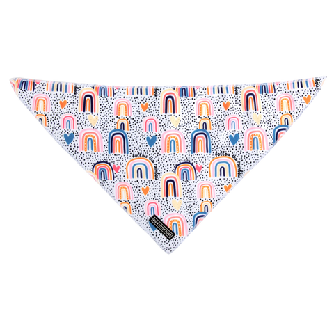 Big and Little Dogs-DOG BANDANA: Chasing Rainbows