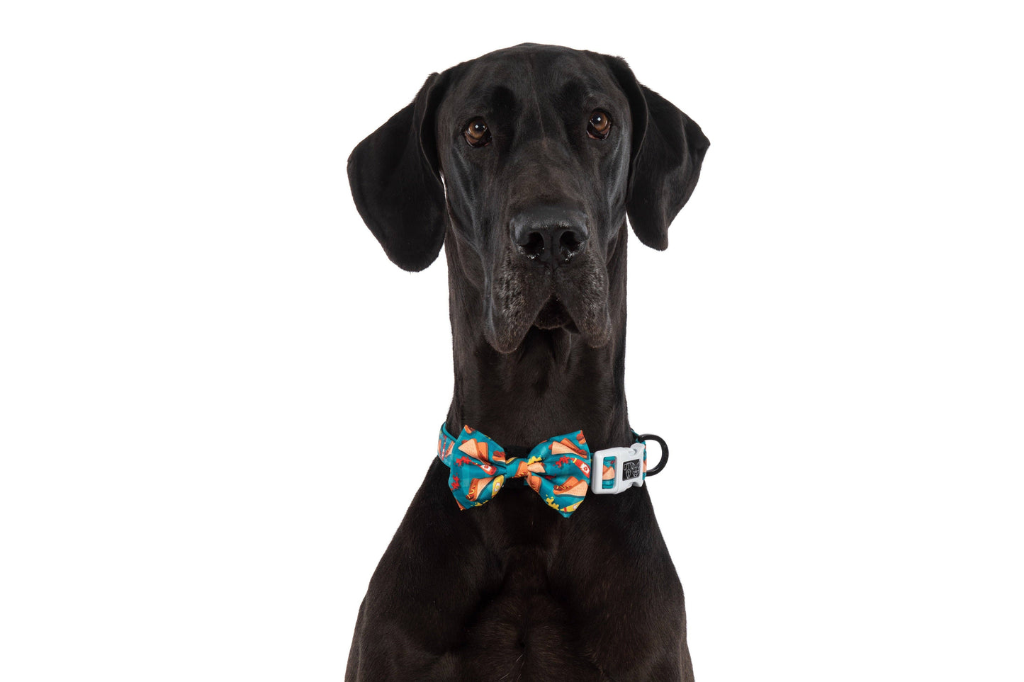 Big and Little Dogs- DOG COLLAR & BOW TIE: Sausage Sizzle