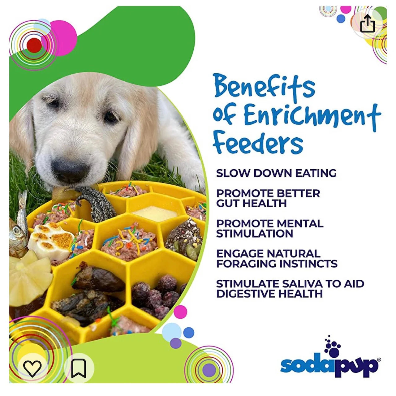 NEW Sodapup Honeycomb eBowl Slow Feeder Bowl For Dogs-Blue