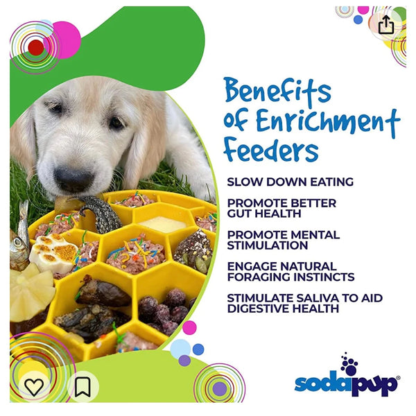Sodapup Honeycomb eBowl Slow Feeder Bowl For Dogs-Yellow