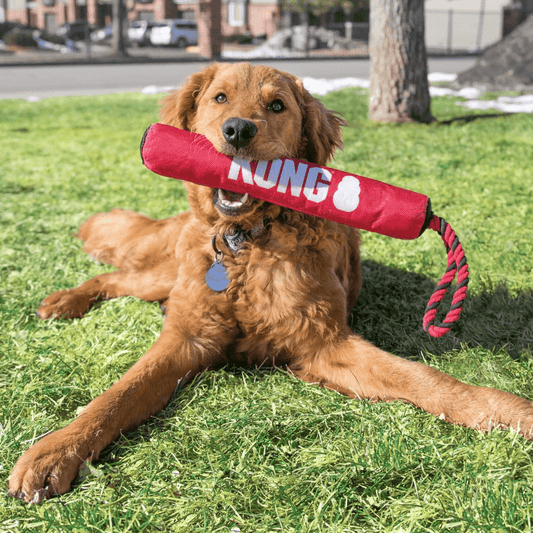 KONG Signature Stick With Rope
