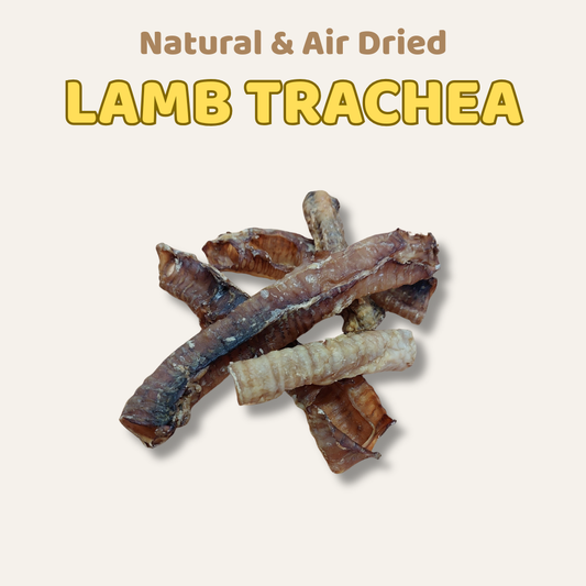 Lamb Trachea All Natural Dog Treats
