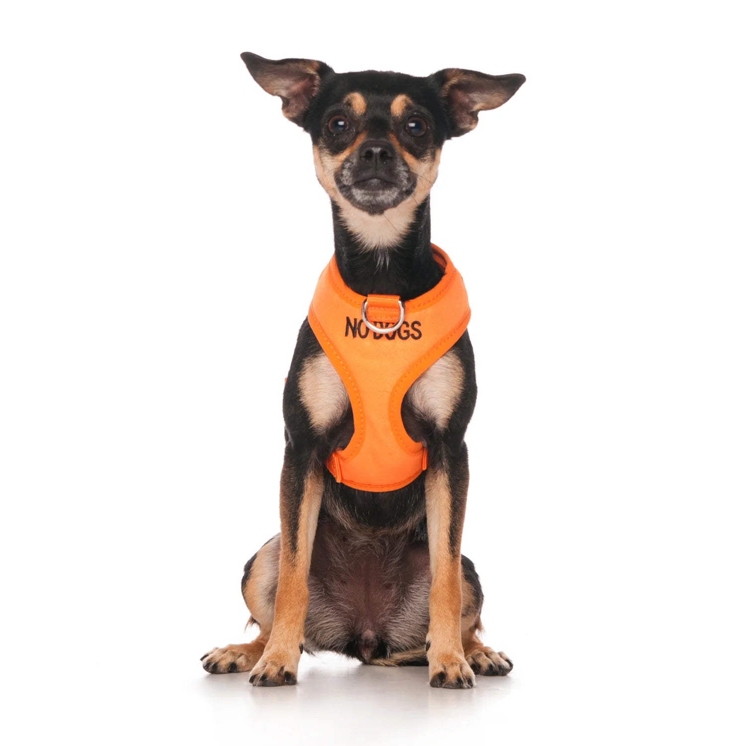 Friendly Dog Collars- NO DOGS- Adjustable Vest Harness