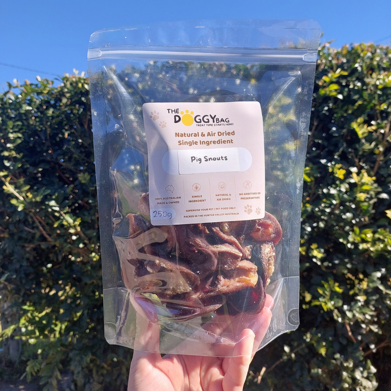 Pig Snouts All Natural Dog Treats