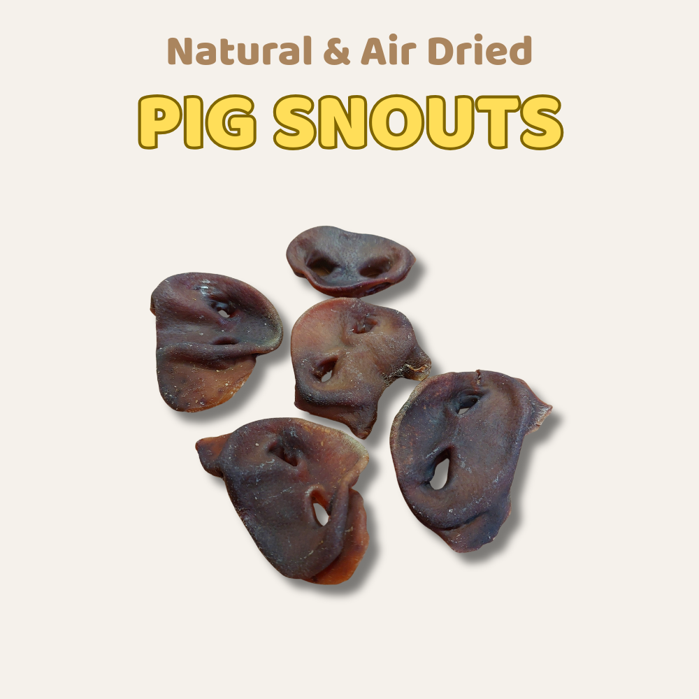 Pig Snouts All Natural Dog Treats