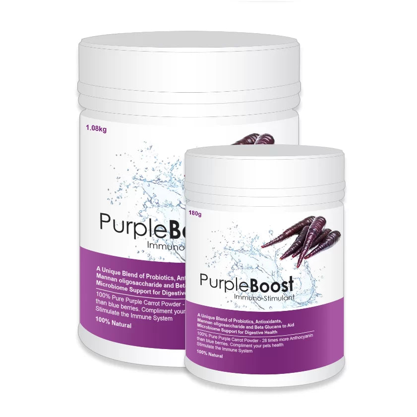 Purple Boost immuno supplement for dogs