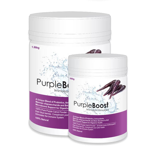 Purple Boost immuno supplement for dogs
