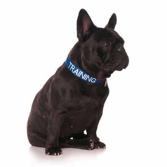 Friendly Dog Collars- TRAINING- Clip Collar S/M