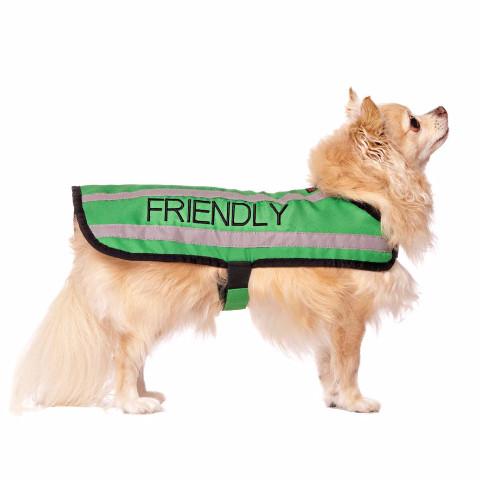 Friendly Dog Collars- Coat- Friendly