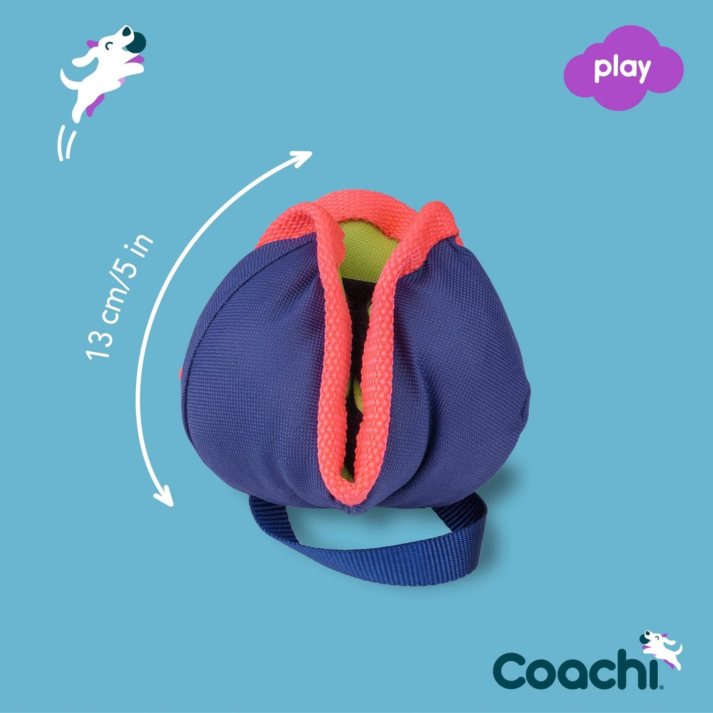Coachi Chase And Treat