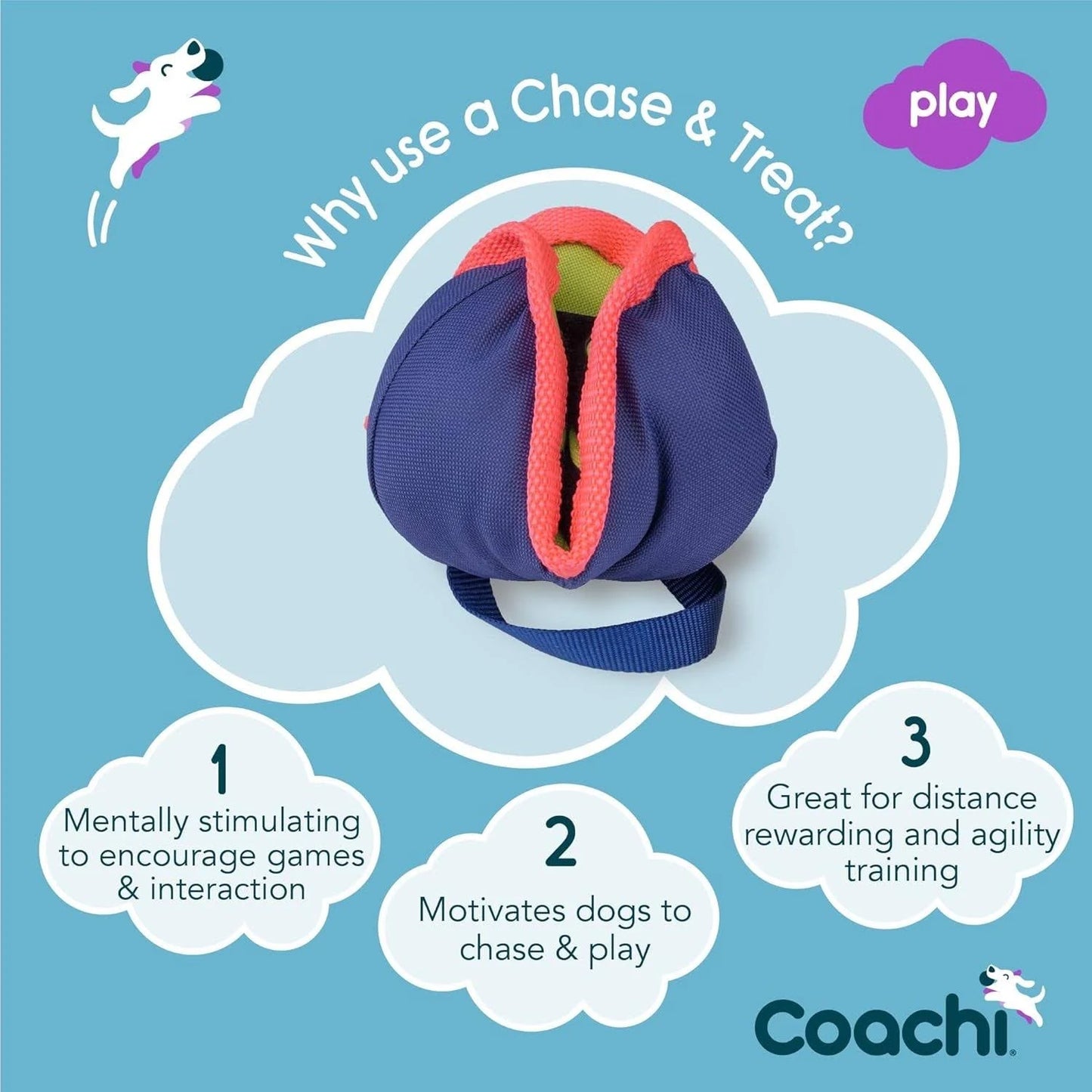 Coachi Chase And Treat