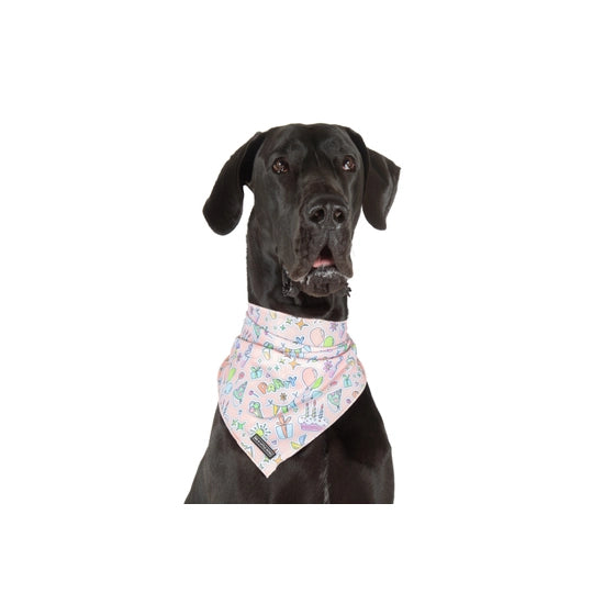 Big and Little Dogs Bandana- Birthday Party Vibes