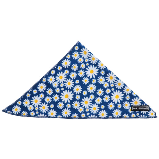 Big and Little Dogs Bandana- Daisy Patch
