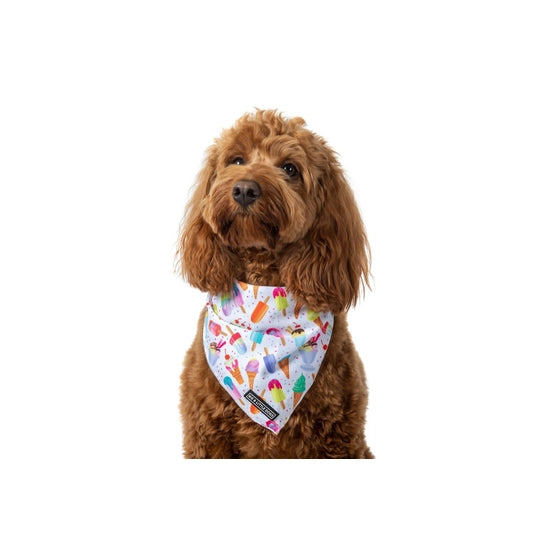 Big and Little Dogs Bandana- Popsicle Dreams