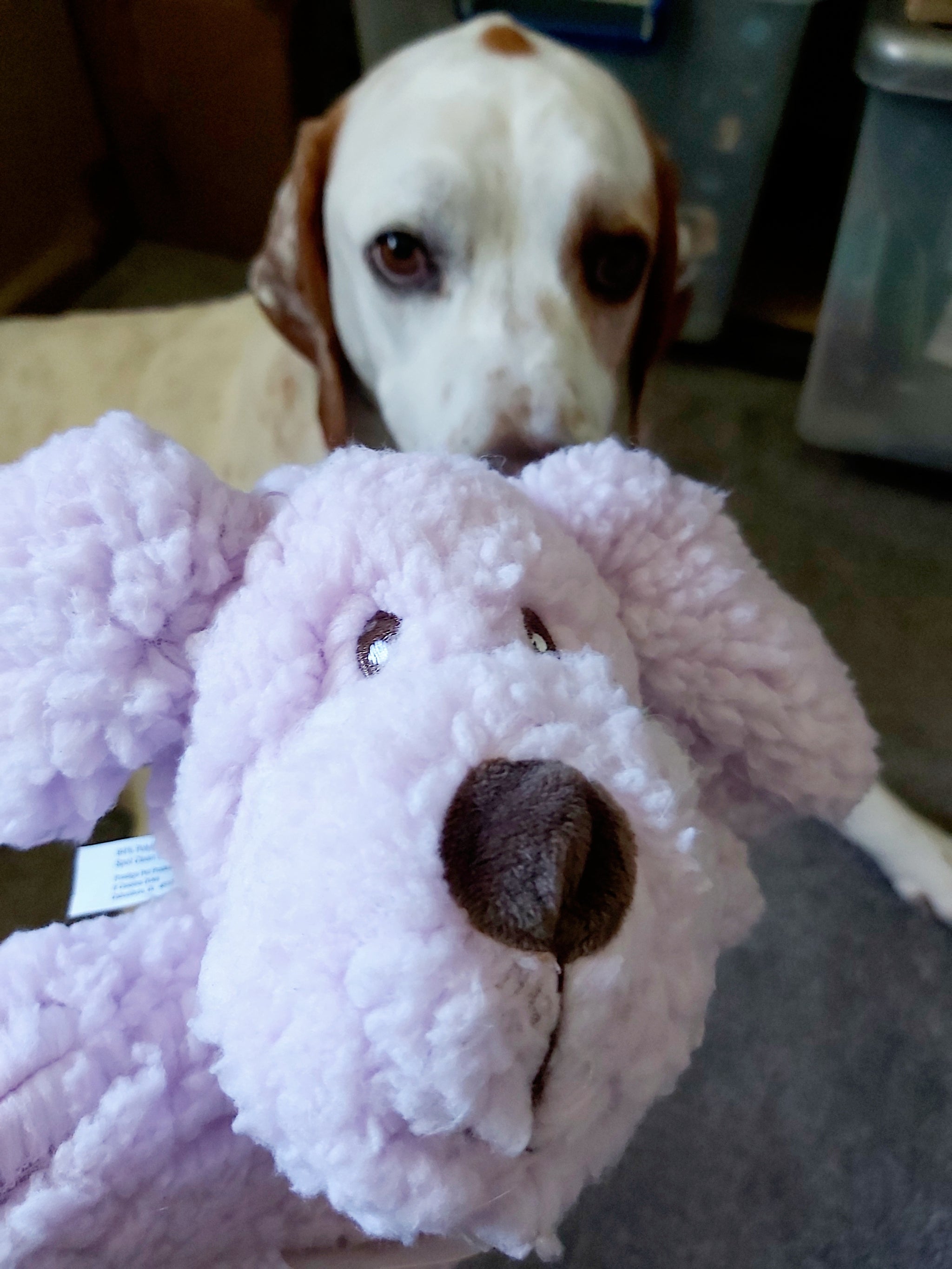 Puppy calming toys outlet