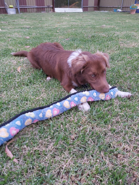Rosewood Tough Plush Rope Core Snake Dog Toy 70cm
