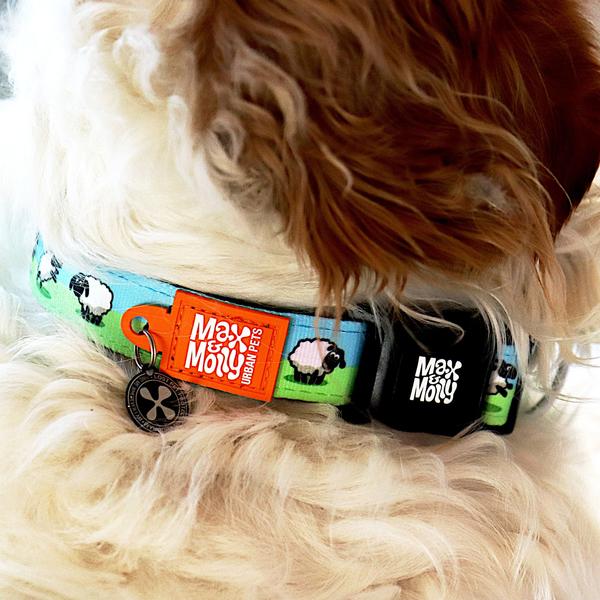 Max and Molly Dog Collar Black Sheep Design.