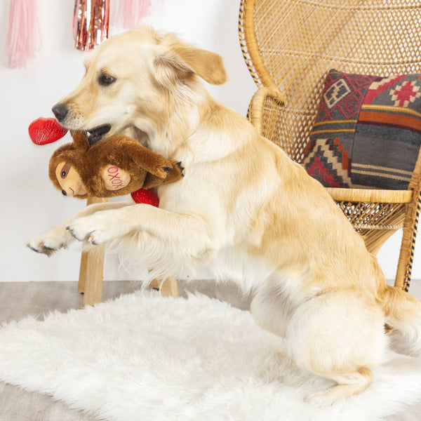 Fringe Studio Plush Squeaker Dog Toy- Beclaws I Love You Sloth