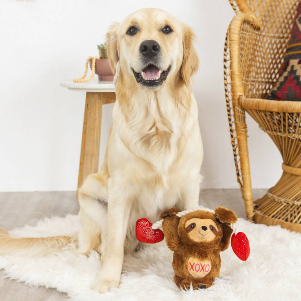 Fringe Studio Plush Squeaker Dog Toy- Beclaws I Love You Sloth