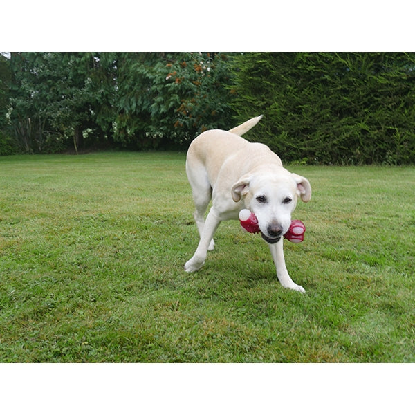 Rosewood Meaty Bacon Takeaway Bone Tough Dog Chew Toy