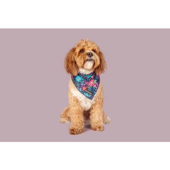 Big and Little Dogs Bandana- Stop & Smell the Flowers